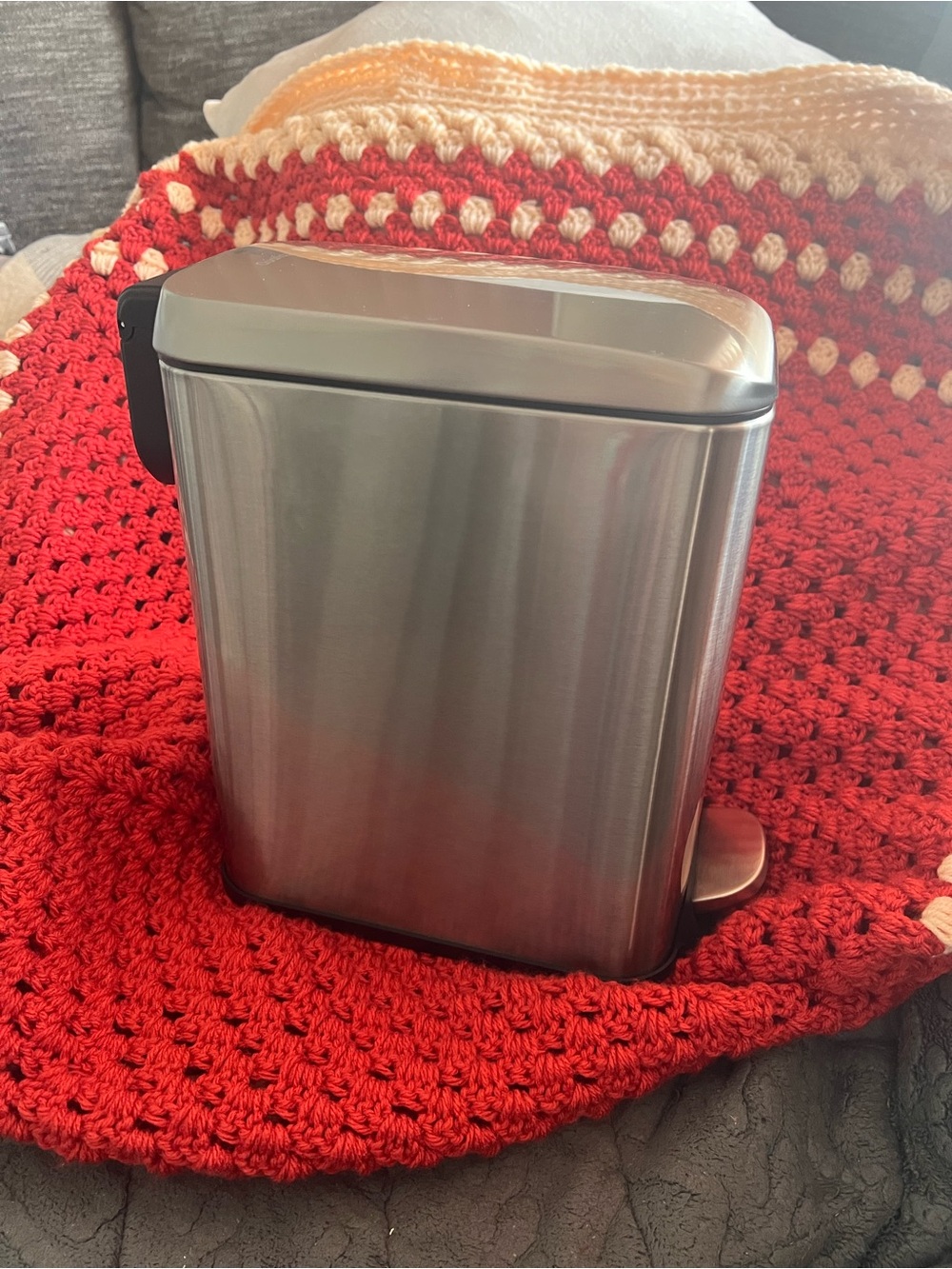 Stainless Steel Step Trash Can - Brushed Silver